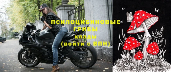 эйфоретик Гусиноозёрск